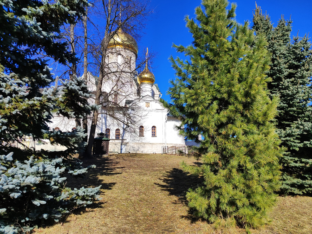 Собор Рождества Пресвятой Богородицы с приделом преподобного Саввы Сторожевского