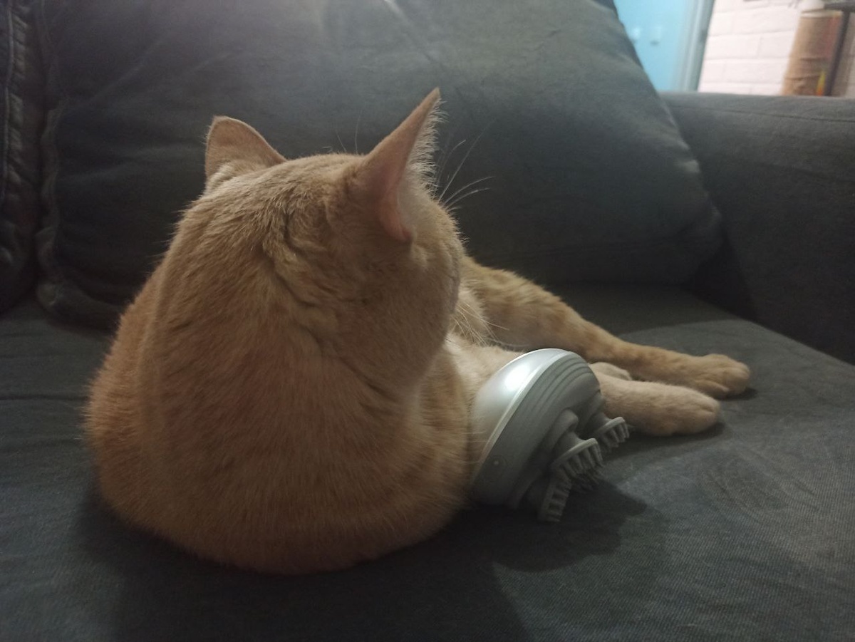 вот оно, это чудовище четырехлапое))