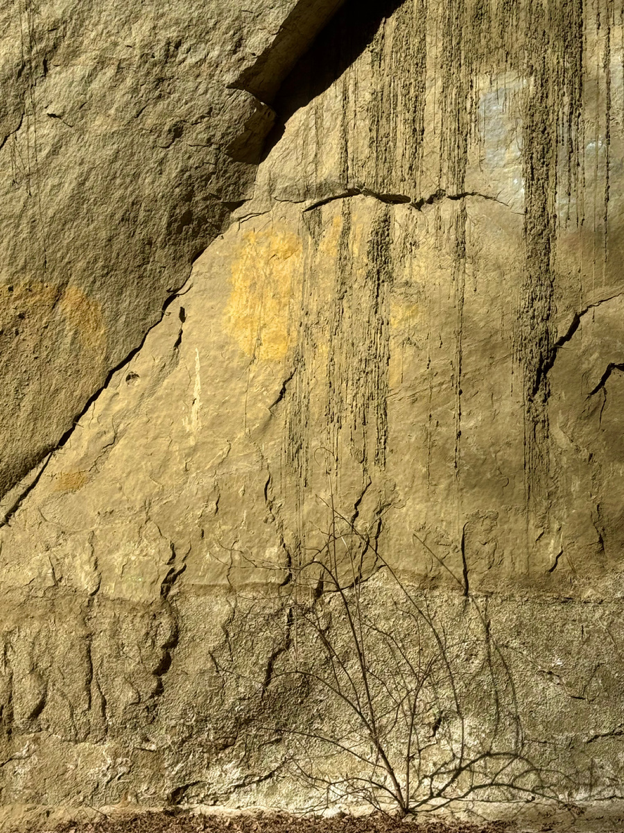 фото* Сад в стиле Paradise ®