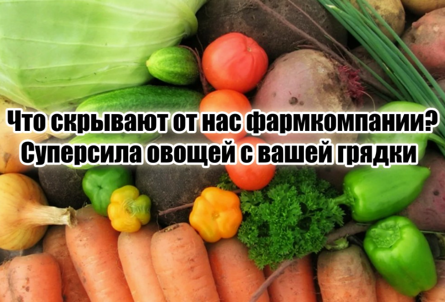 Но, похоже, кому-то совсем не выгодно, чтобы вы об этом узнали.
