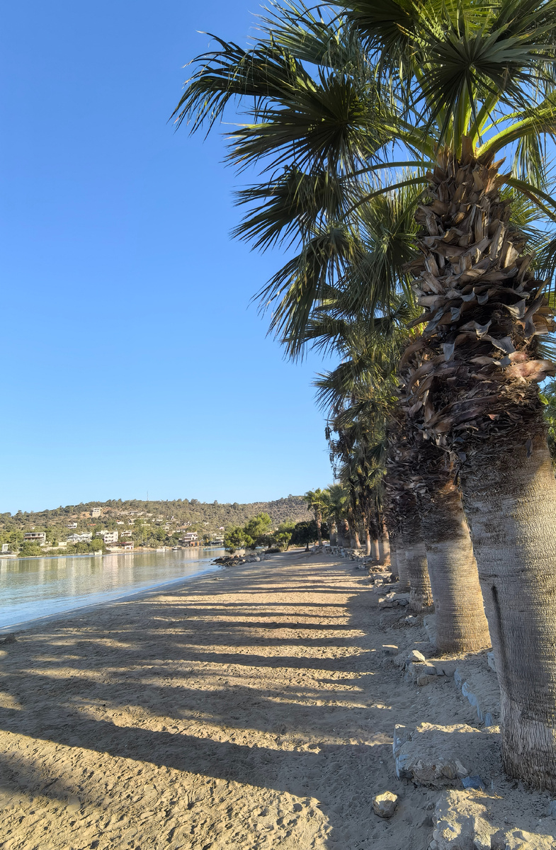 Но ради этого я переживу эту дорогу ещё не раз.