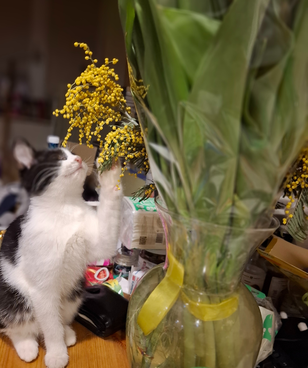 Я так просто.. посмотреть...