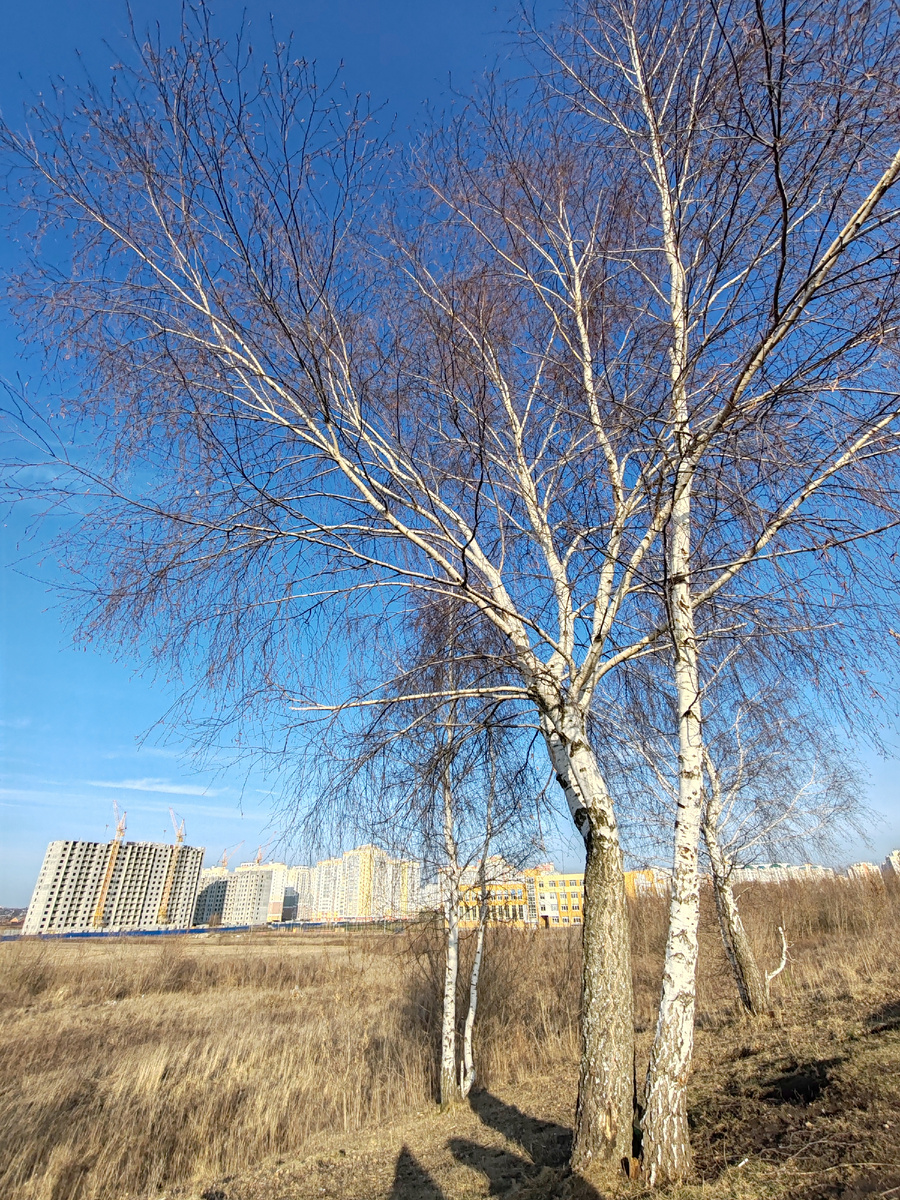 Фото автора канала. 