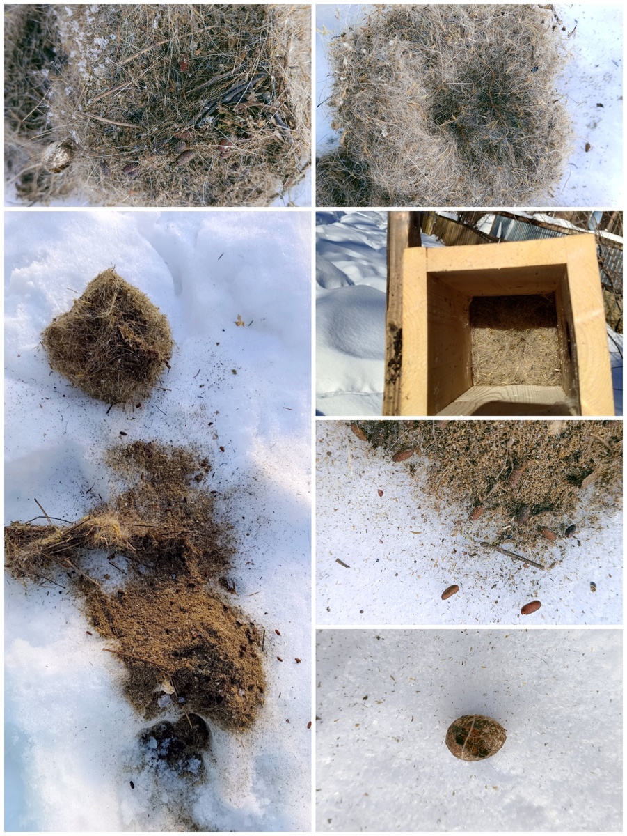 Фото из личного архива автора