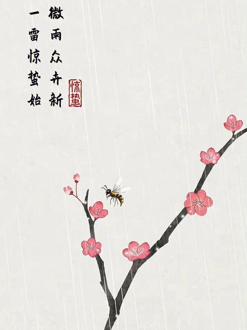 Источник изображения: baidu.com.