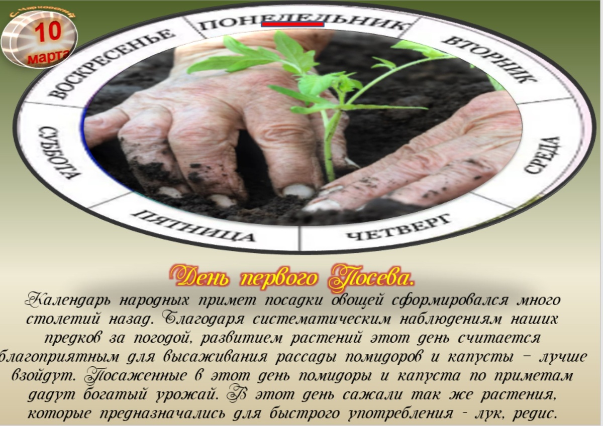 Встречаем новый день