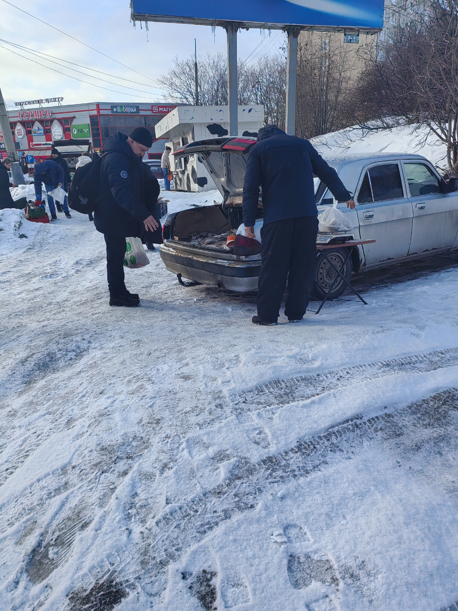 Мурманск, 09.03.25 г.