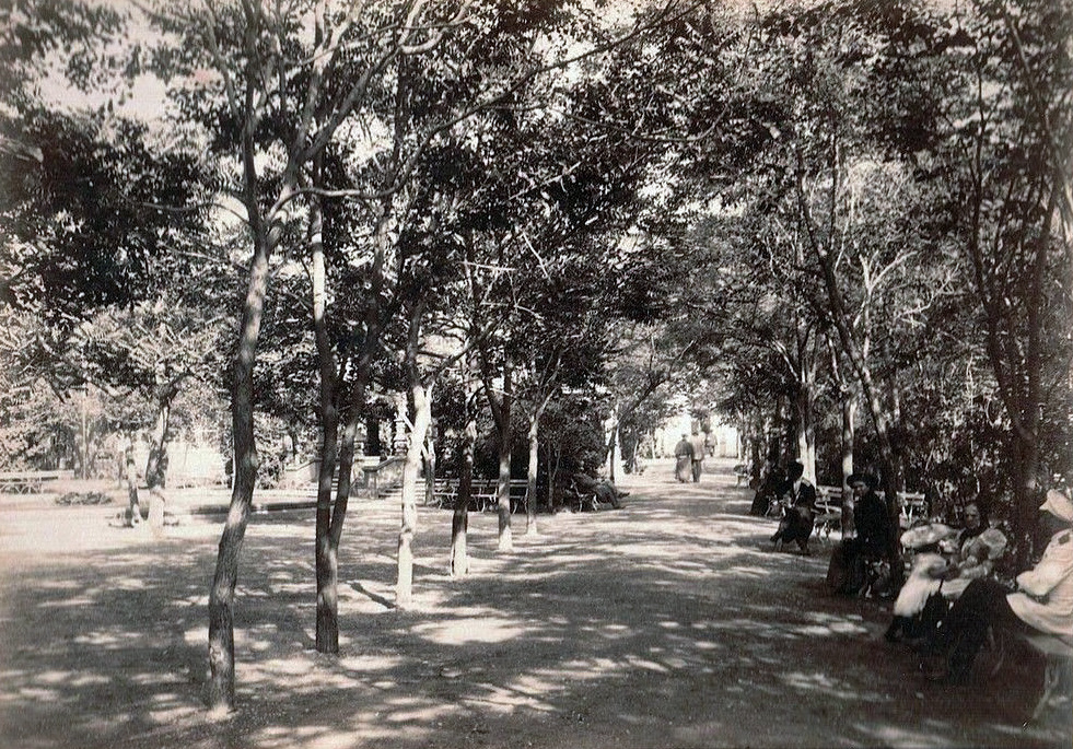 Николаевская аллея, конец XIX века (фото: https://pastvu.com)