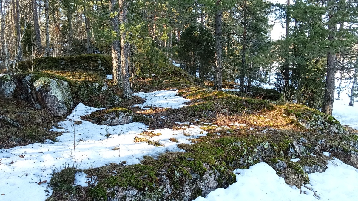 Остров Пикисаари, Лаппеенранта