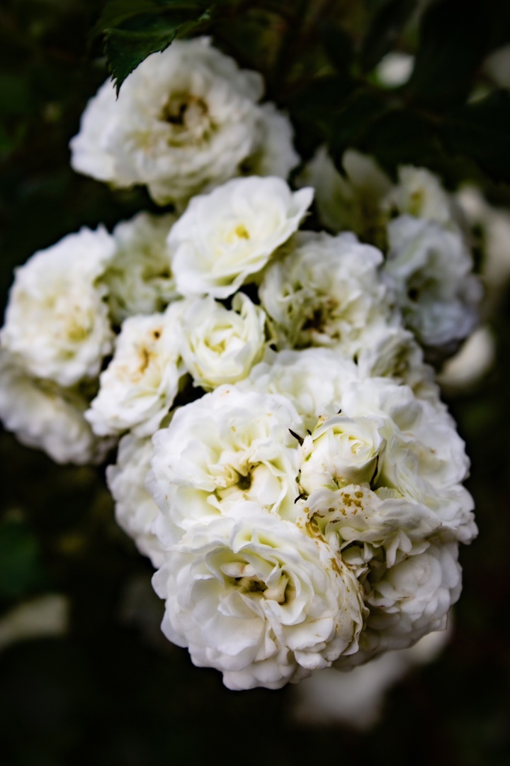 Мое фото из моей группы https://vk.ru/splashkgd