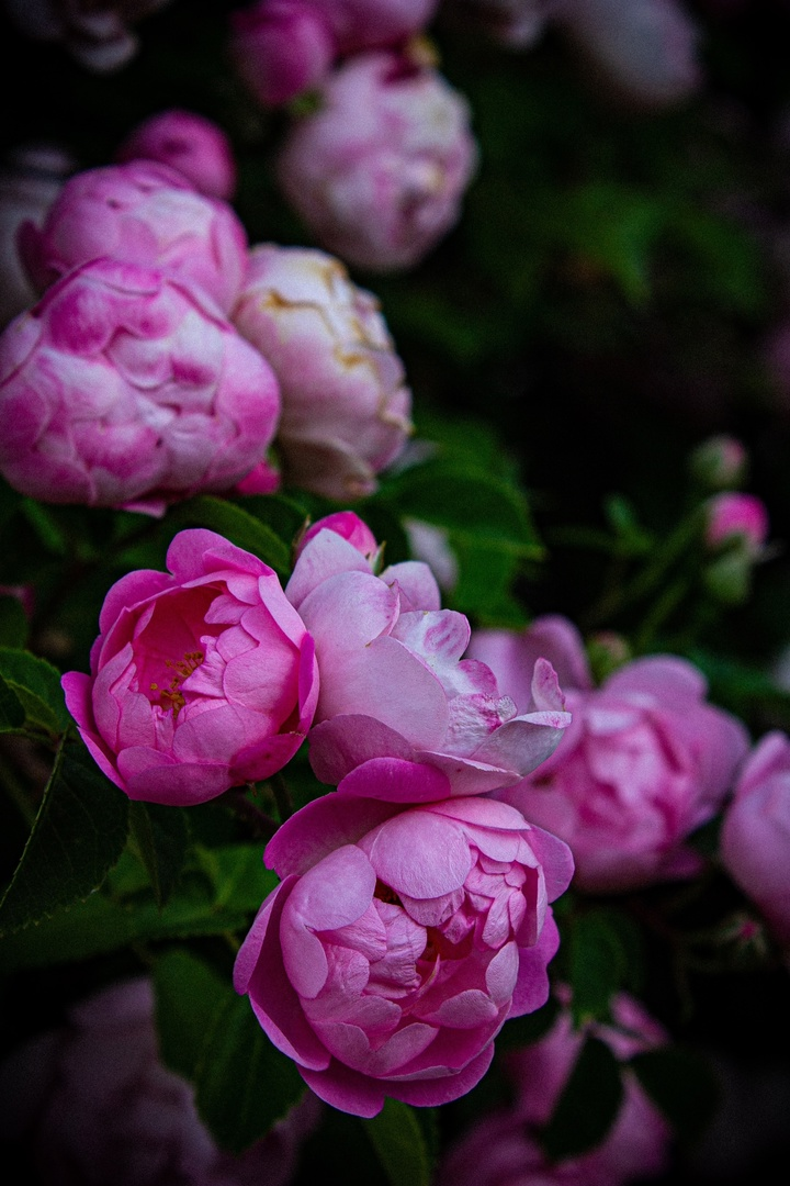 Мое фото из моей группы https://vk.ru/splashkgd