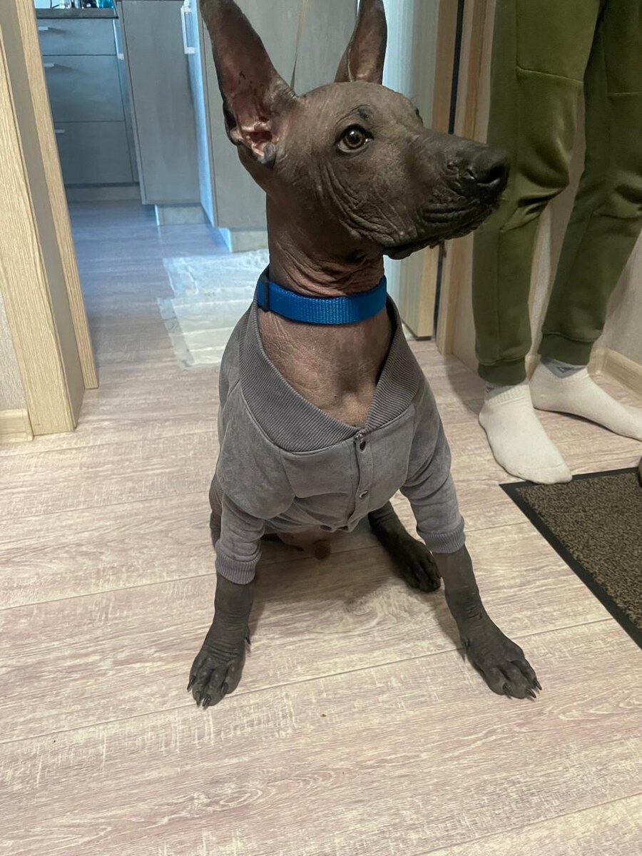 Ждет с нетерпением встречи с теплом