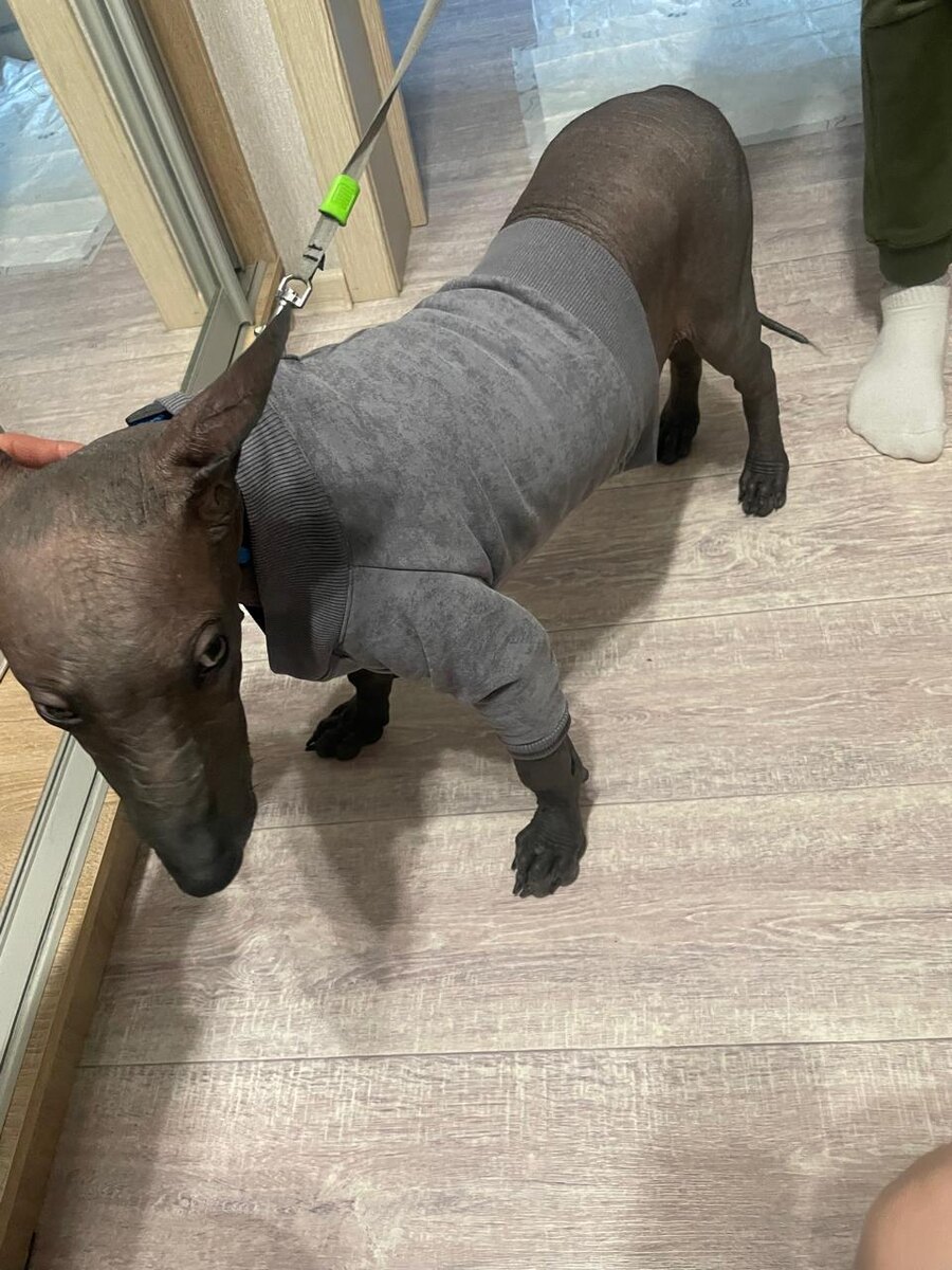 Побежали скорее, сколько можно фотографии делать