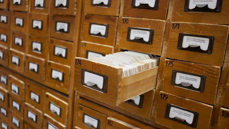     Фото: Kuzmin Andrey Shutterstock.com