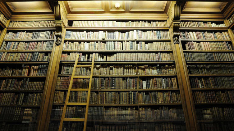     Фото: zens Shutterstock.com