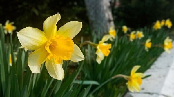    © РИА Новости Крым