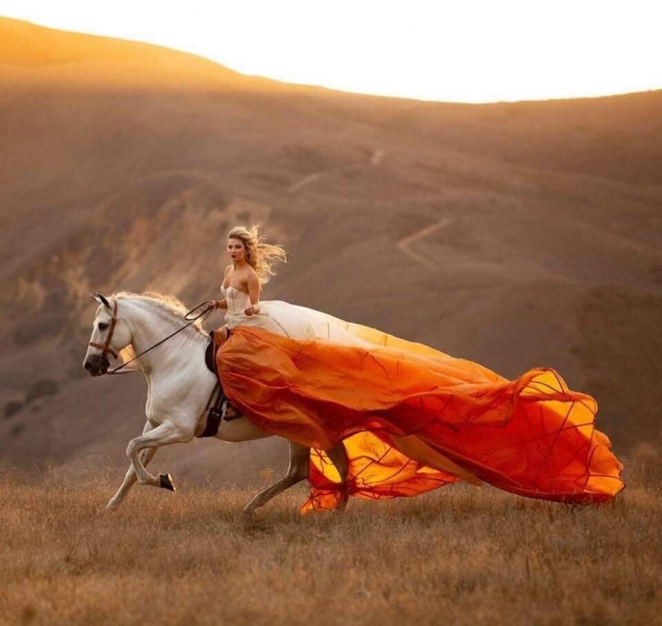 Изображение взято из свободных источников