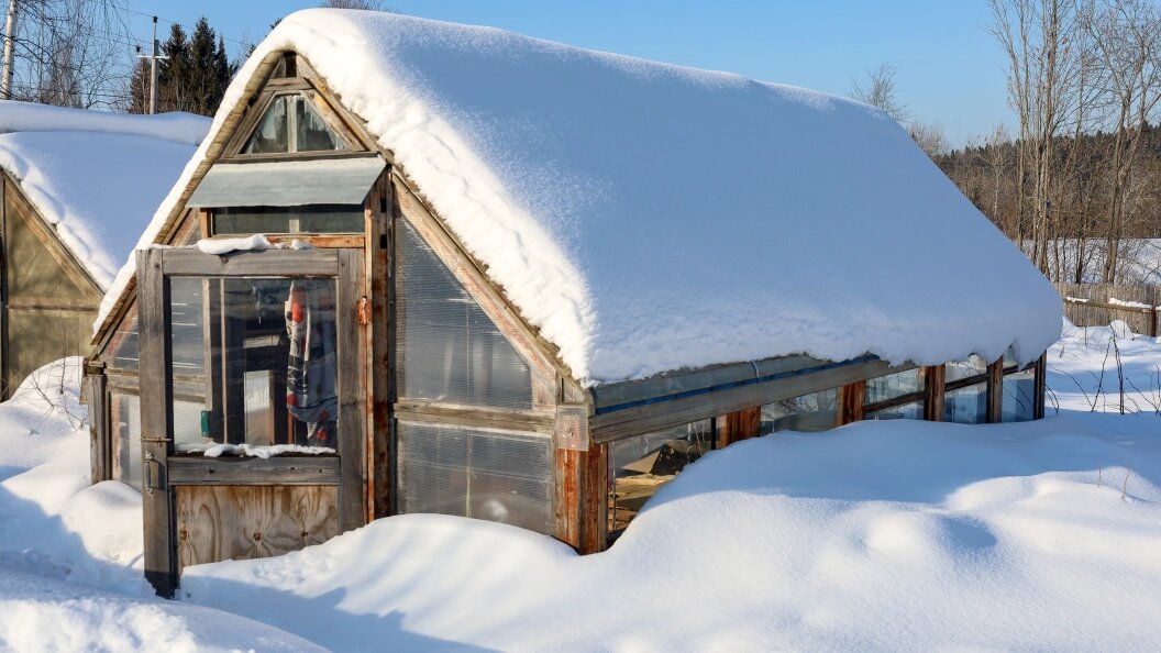    Elena Mayorova/Globallookpress