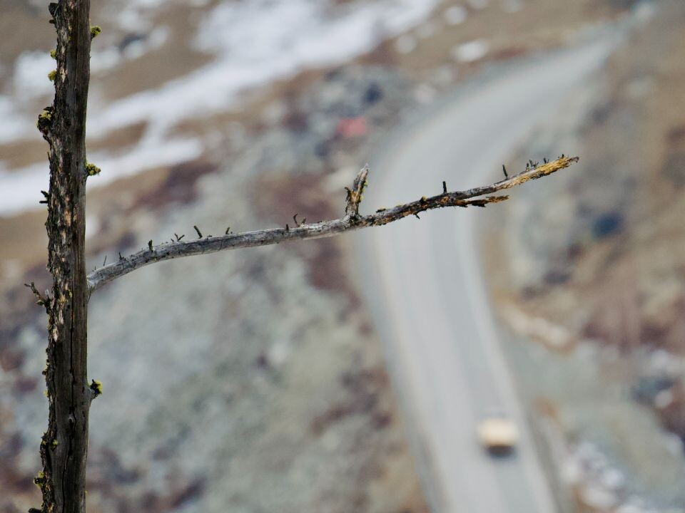    Подъем на перевал Чике-Таман. Источник: Андрей Сороко/"Толк"