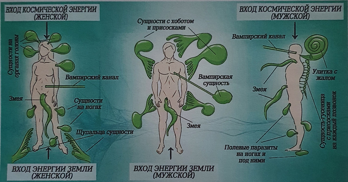 Источник: Pinterest