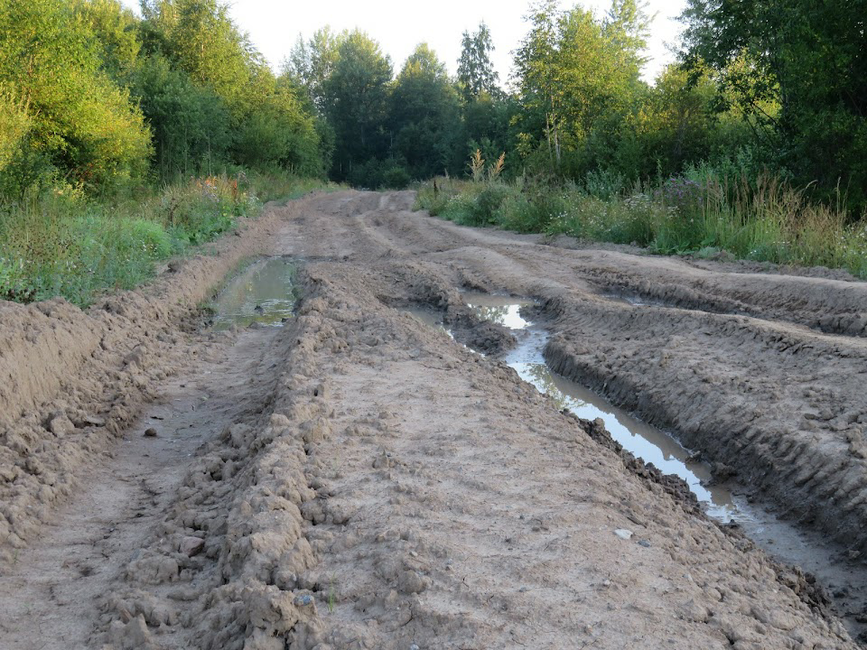 Дорога в районе Глушицы. Google.Earth