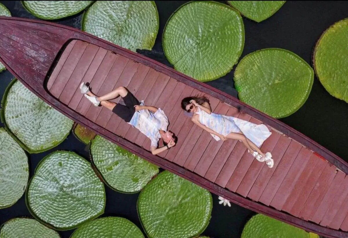 Кафе с Кувшинками на Пхукете