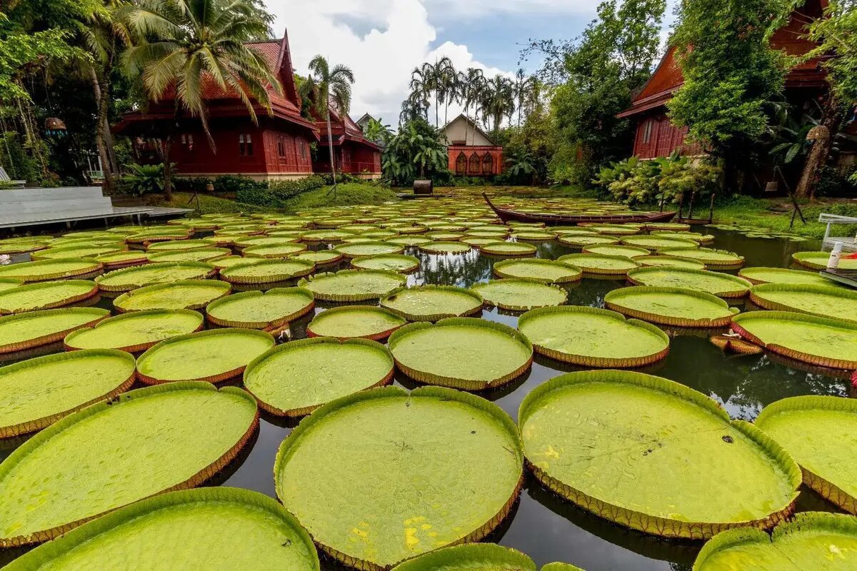 Вид на Ma Doo Bua