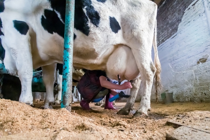    Фото Андрея Заржецкого