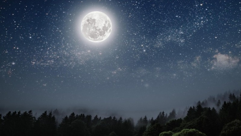 Фото: @goodphoto / freepik.com