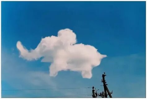 Яндекс Открытый источник 