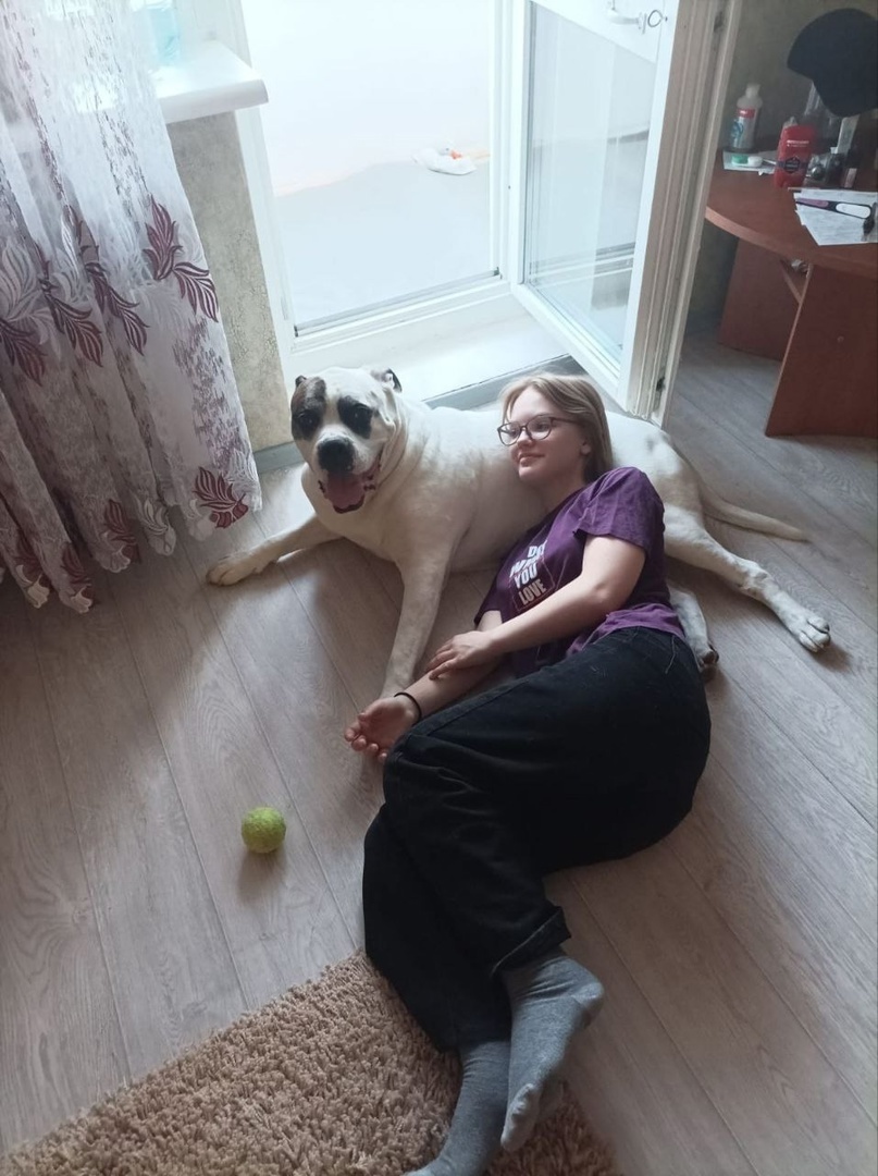 Счастливая мордочка стала у больдога!