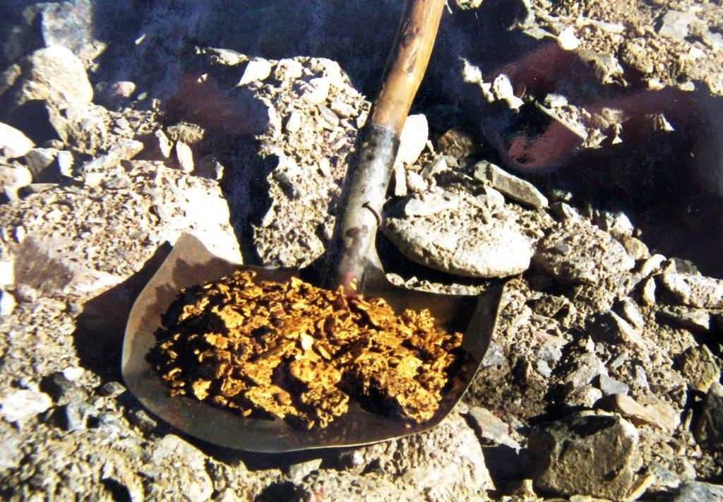 Как золотые самородки превратили спокойную жизнь в погоню