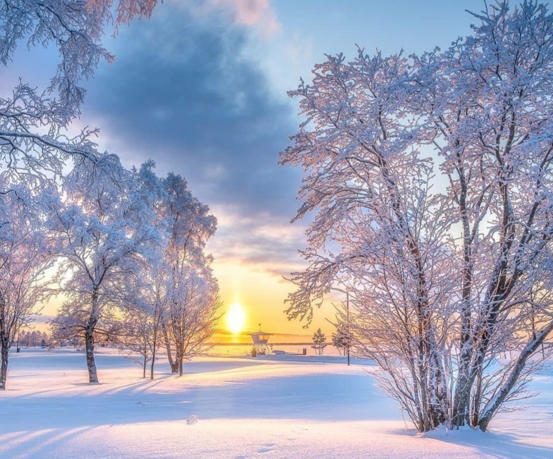 Морозное утро. Фото из интернета