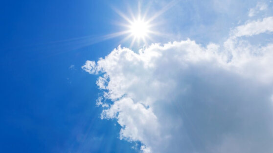    На юге России воздух прогреется до +25°C ©Pakhnyushchy / Shutterstock / Fotodom