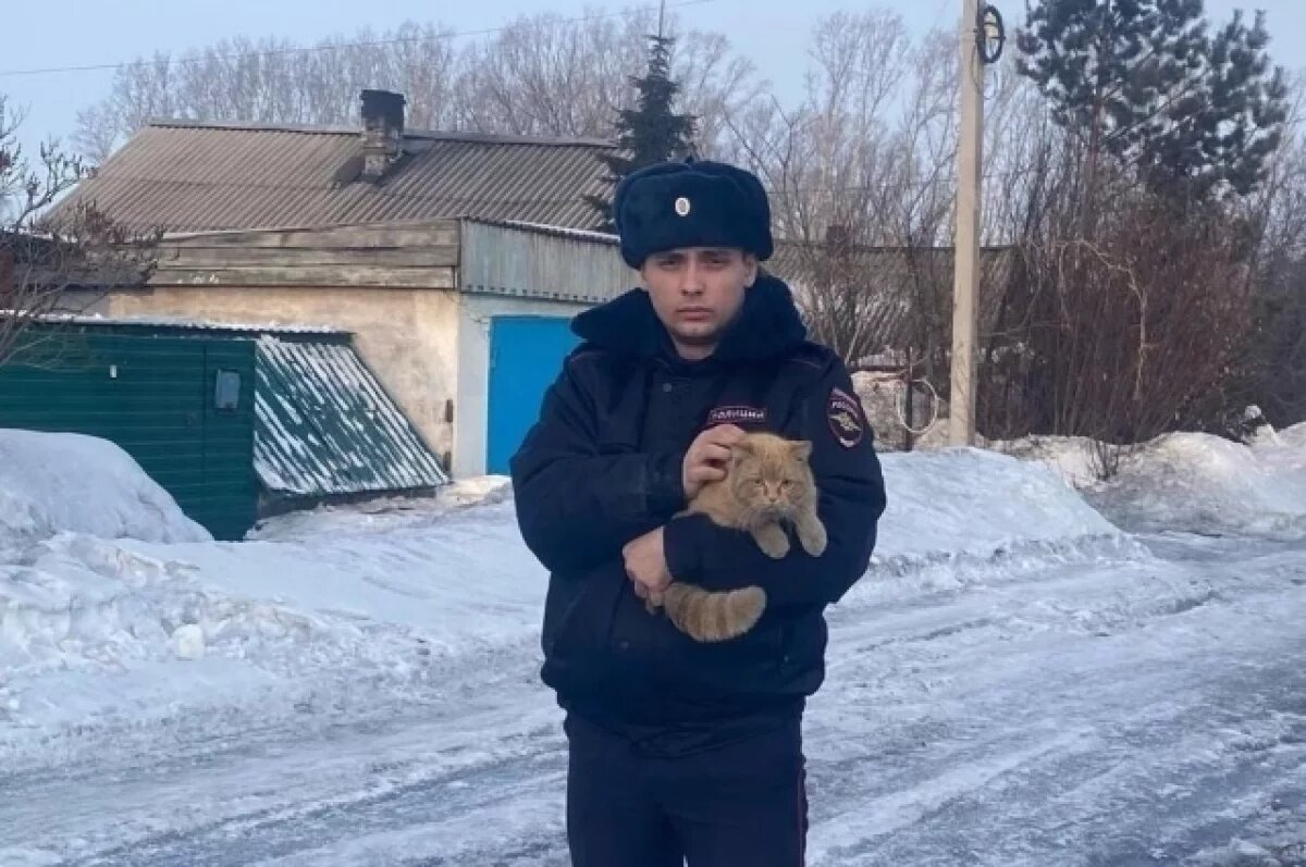    Участковый в Кузбассе спас из заточения рыжего кота, у которого умер хозяин