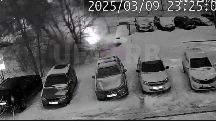    Фото: кадр из видео