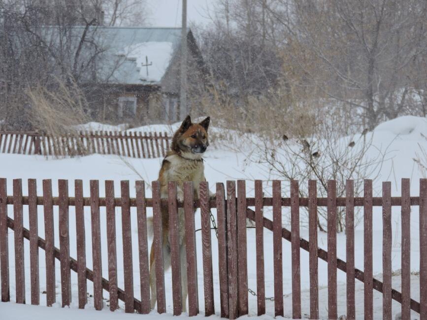    Фотография Анны Зубаревой.