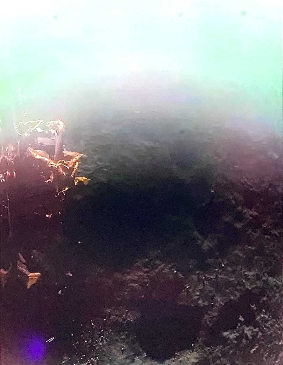 Первые кадры поверхности Луны после посадки от Blue Ghost