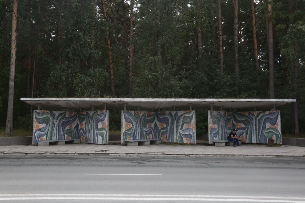 Фото: Ростислав Нетисов, nsknews.info