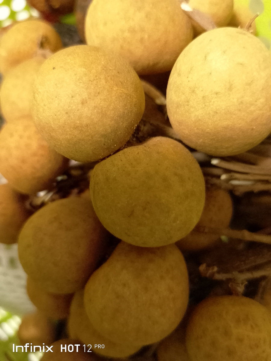 Вкусные фрукты, правда, не из Узбекистана