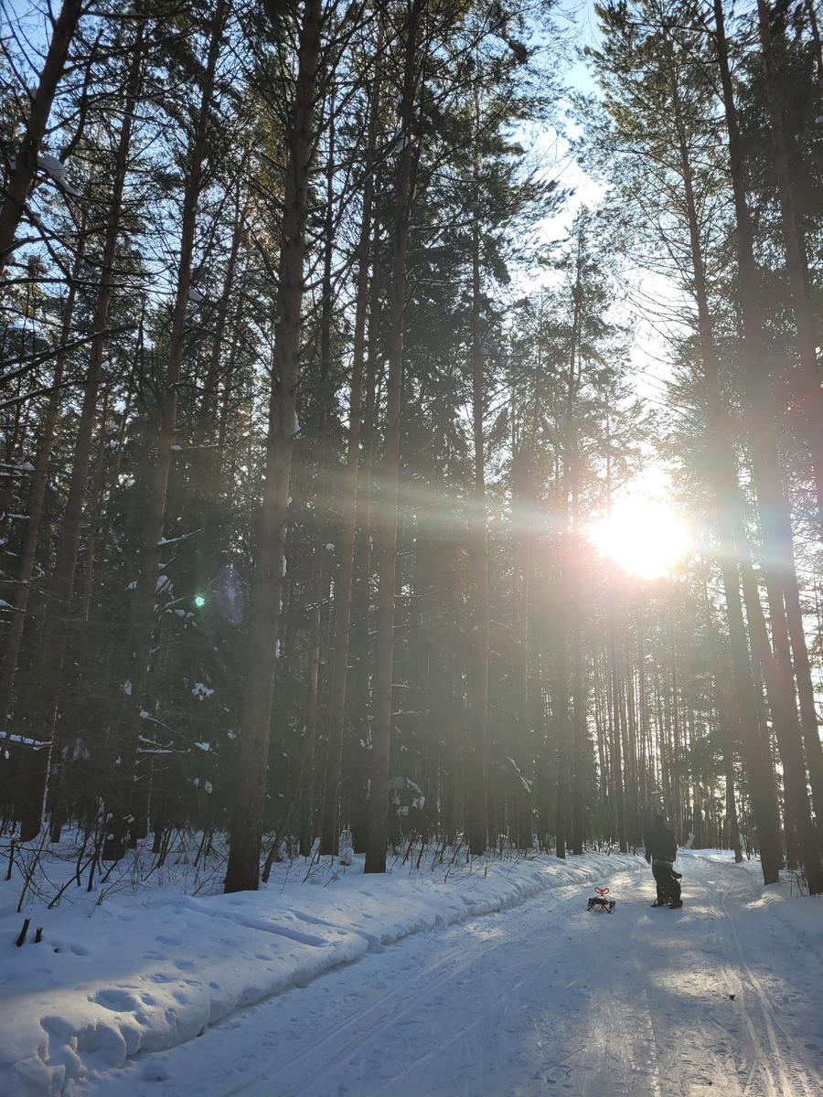 Прогулка с детьми с лес! С чаем из термоса и печеньками😍