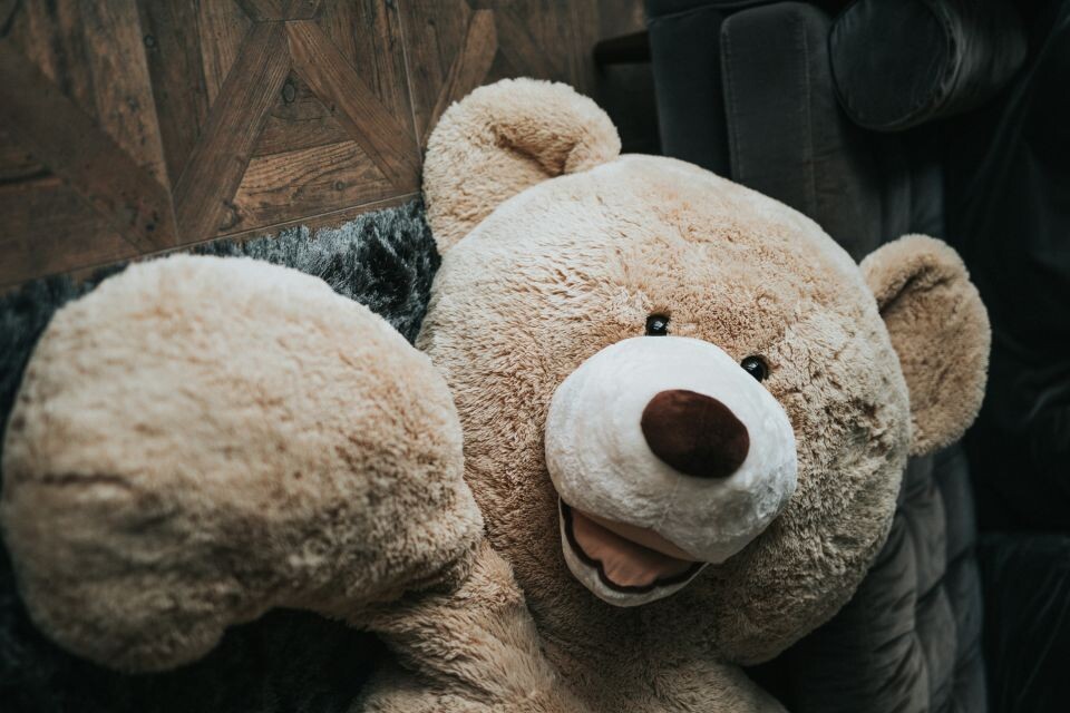    Плюшевый меведь, игрушка. Источник: unsplash.com