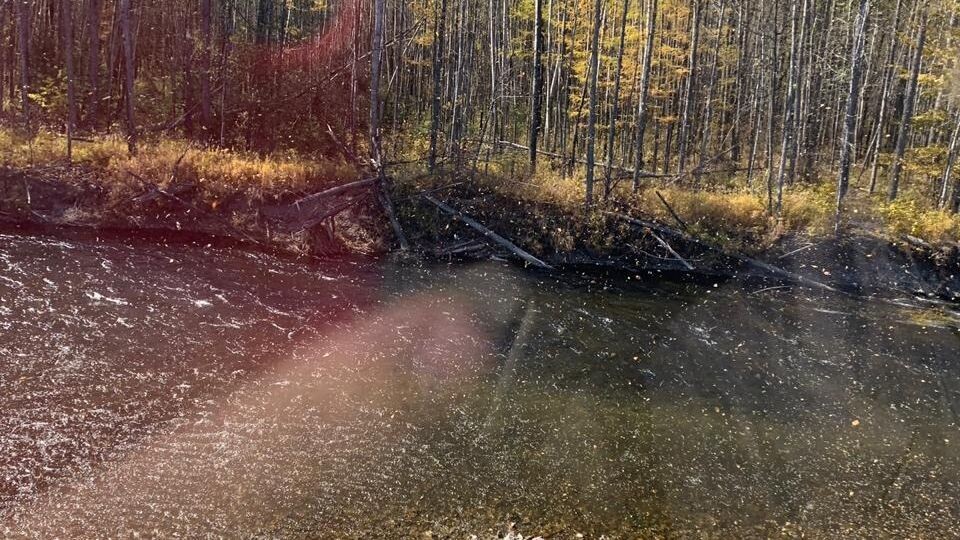     Источник: 1MI