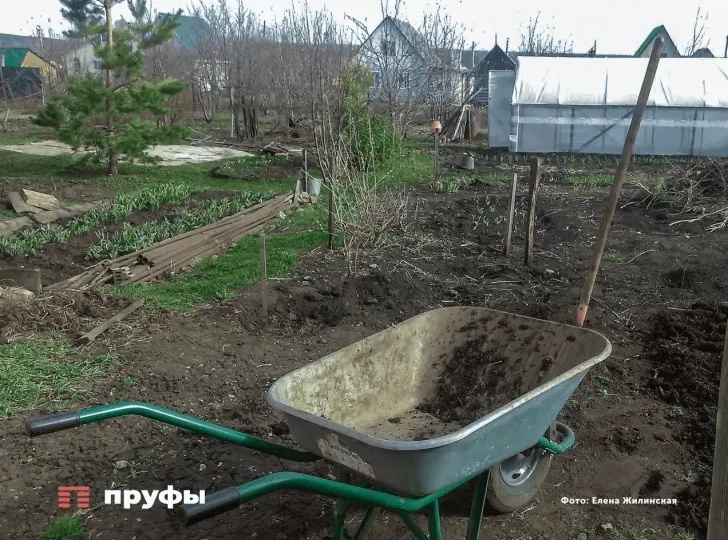 Начнется с марта: каждый дачник должен знать об уплате этого налога