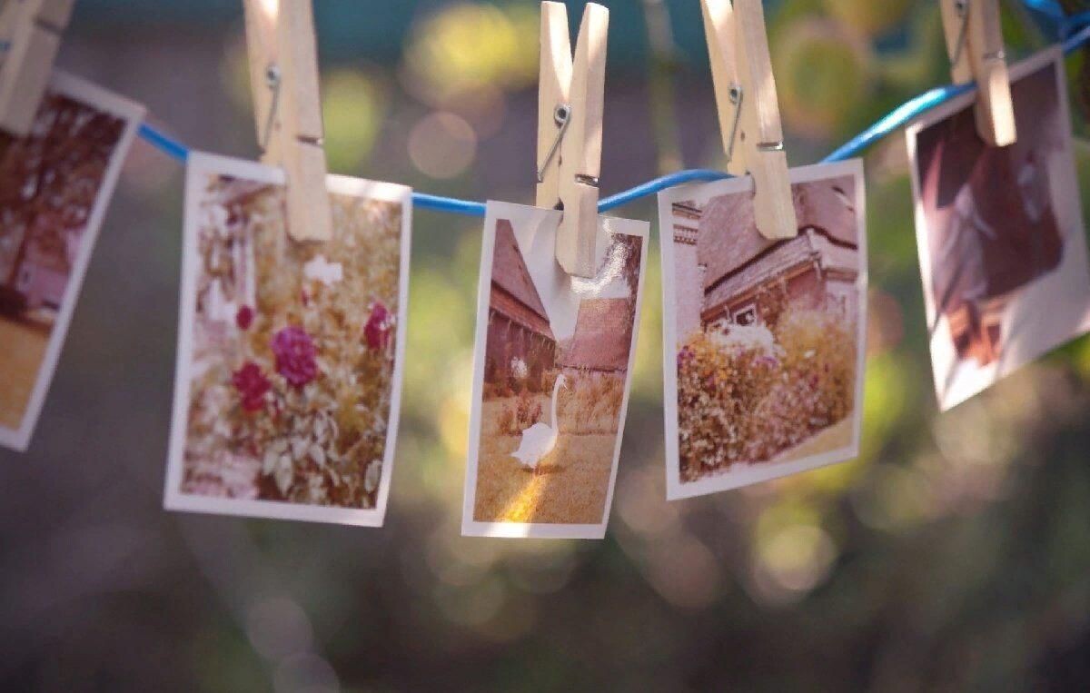 Картинка с просторов интернета