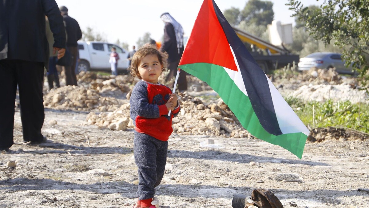    Фото: abu adel - photo/Shutterstock/Fotodom