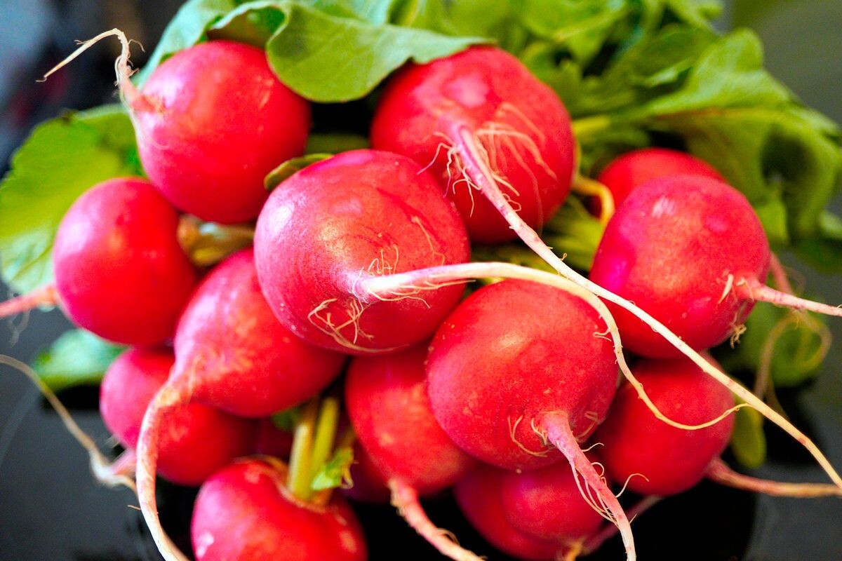    Фото: matthiasboeckel / Pixabay.com