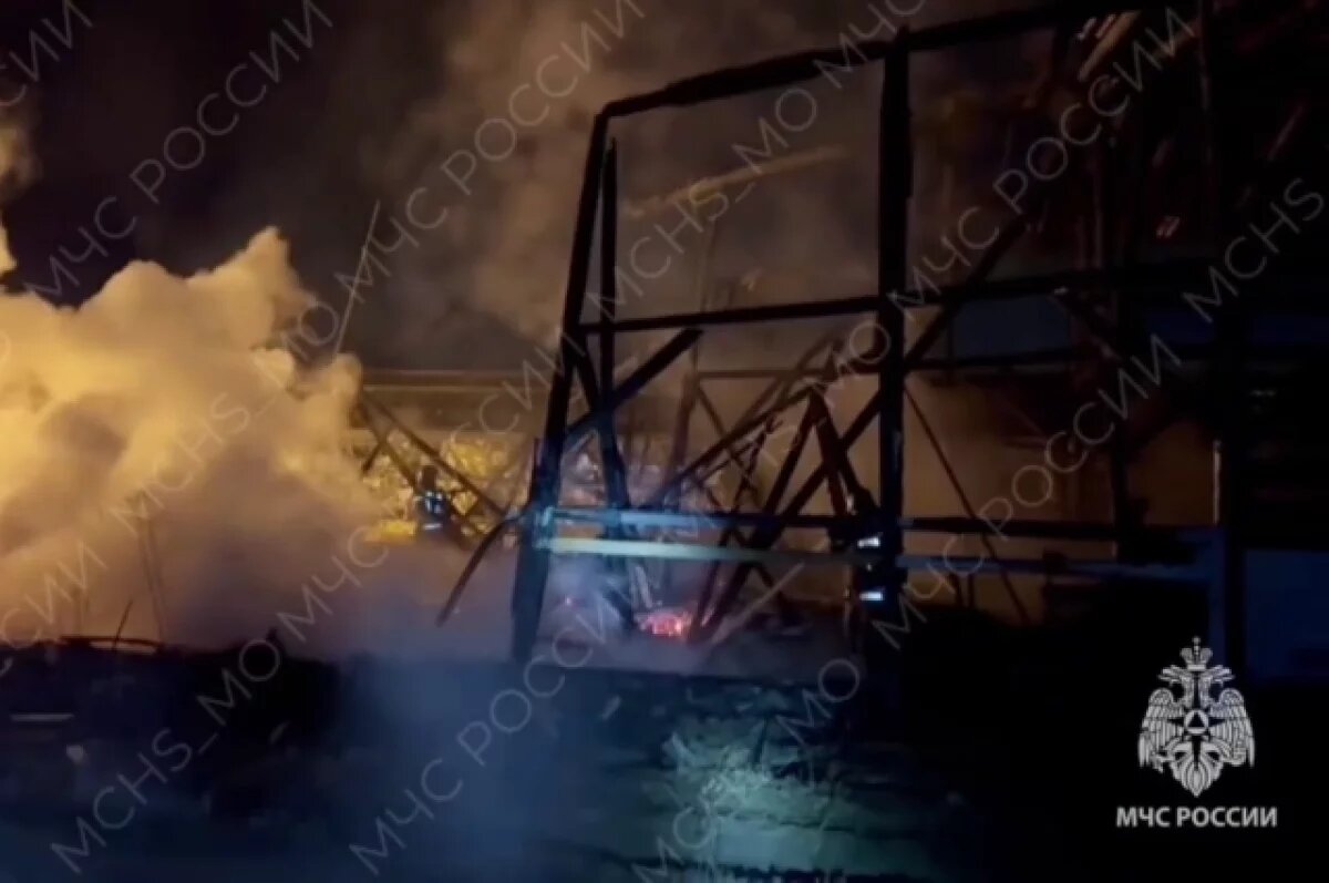    В Подмосковье при пожаре в тепличном комплексе погибли четыре человека