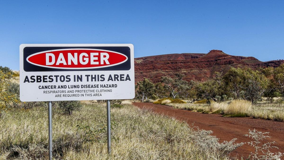 Изображение взято с сайта https://images.thewest.com.au/publication/B881141531Z/1553049486285_GGO24EQNB.2-2.jpg?imwidth=1200