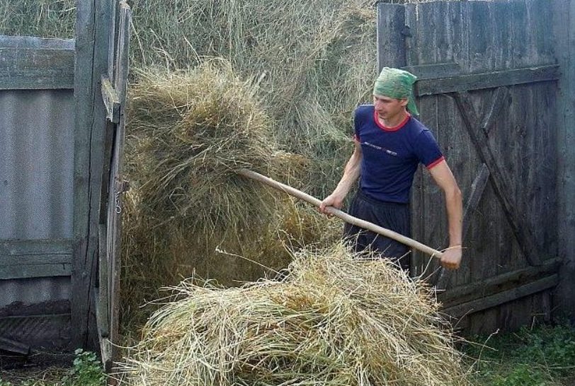 Яндекс картинки